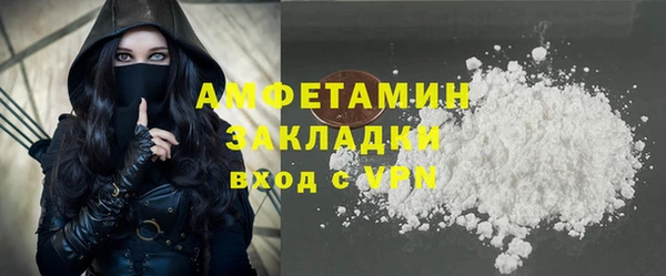 индика Дмитровск
