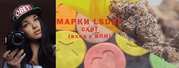 индика Дмитровск