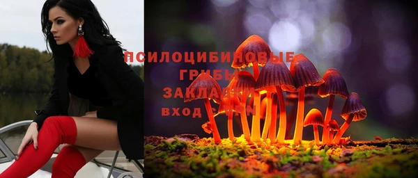 индика Дмитровск