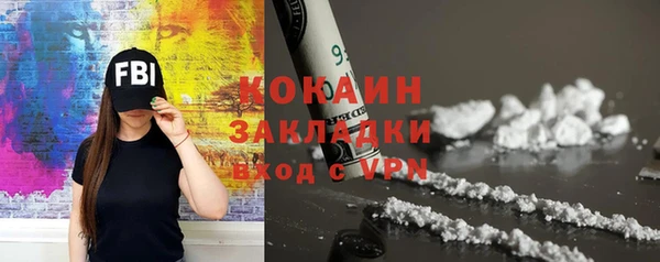 индика Дмитровск