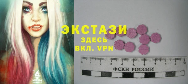 индика Дмитровск