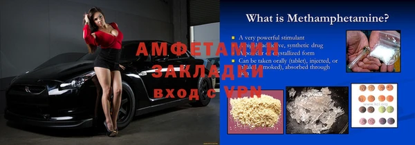 индика Дмитровск