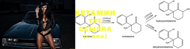 mdma Дмитриев