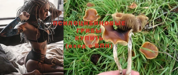 индика Дмитровск