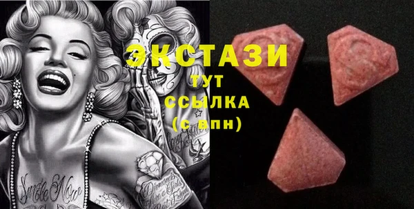 индика Дмитровск