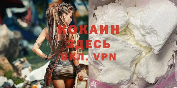 индика Дмитровск