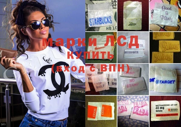 индика Дмитровск