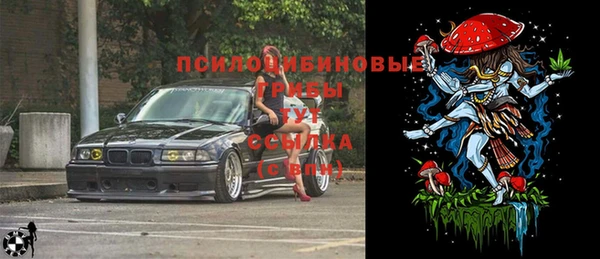 mdma Дмитриев