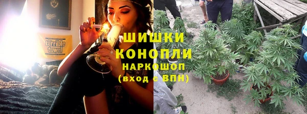 индика Дмитровск