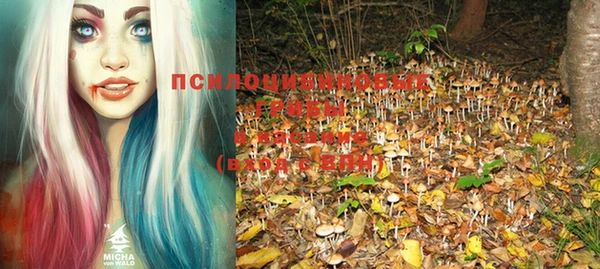 mdma Дмитриев