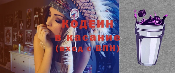 индика Дмитровск