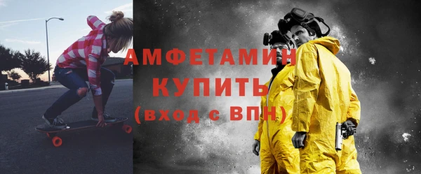 индика Дмитровск