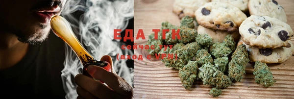 индика Дмитровск