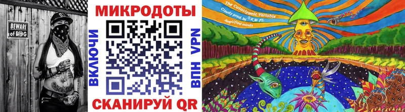 Псилоцибиновые грибы Psilocybe  Западная Двина 